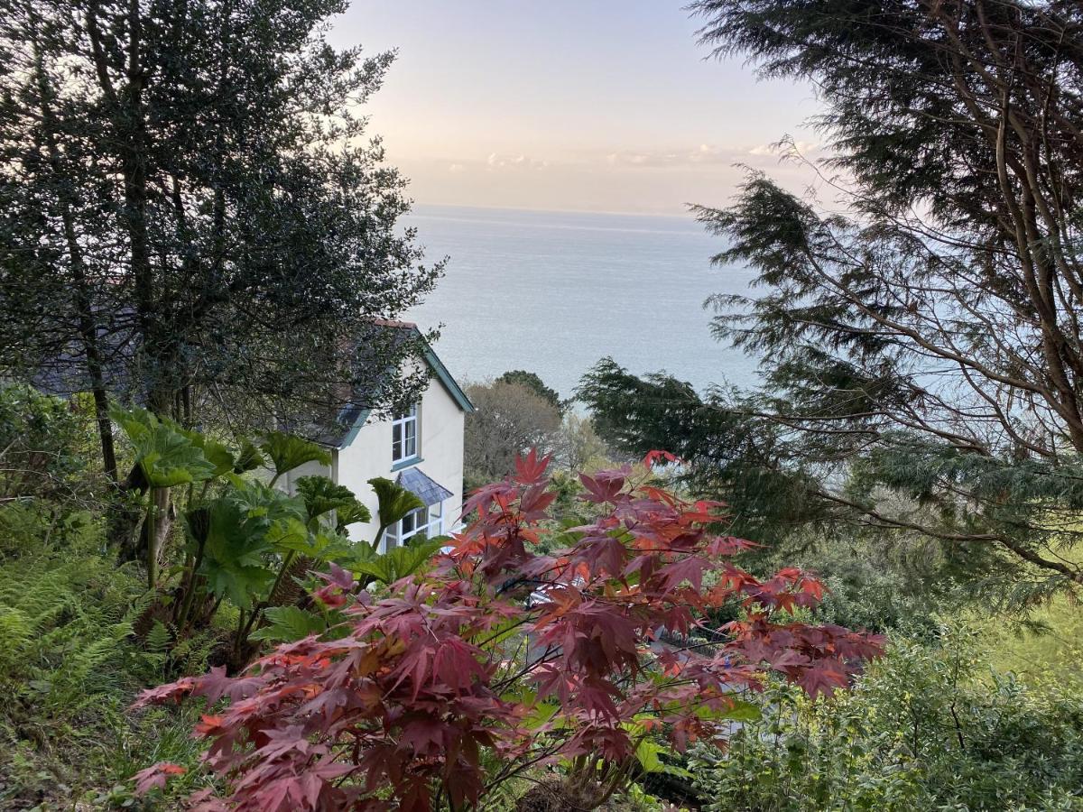 Bed and Breakfast North Walk House à Lynton Extérieur photo